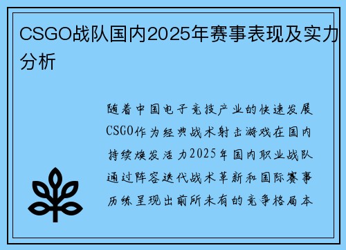 CSGO战队国内2025年赛事表现及实力分析